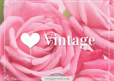 love-vintage-ecard-pink-rose-7