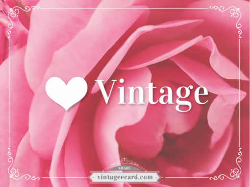 love-vintage-ecard-pink-rose-9